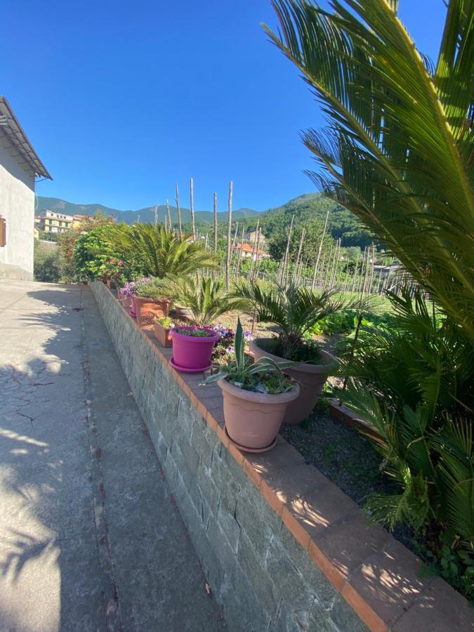 Villa Palipano House Pimonte Exterior foto